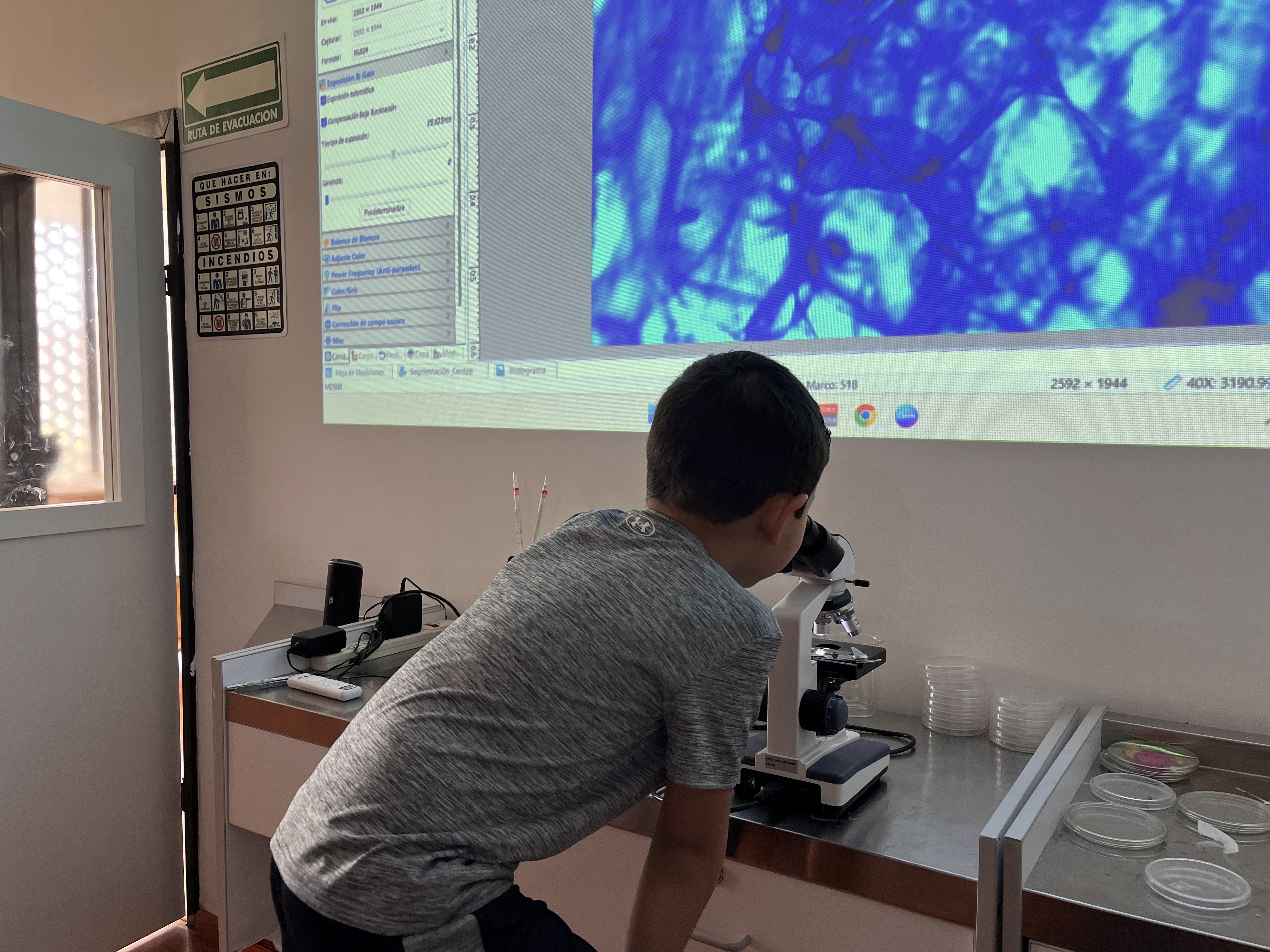 Niño en laboratorio Dimex observando una imagen a través de un microscopio con proyección digital a una pantalla.