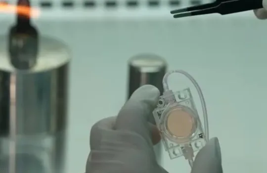 Captura de pantalla del metraje de video que presenta el experimento espacial de "embriones artificiales"