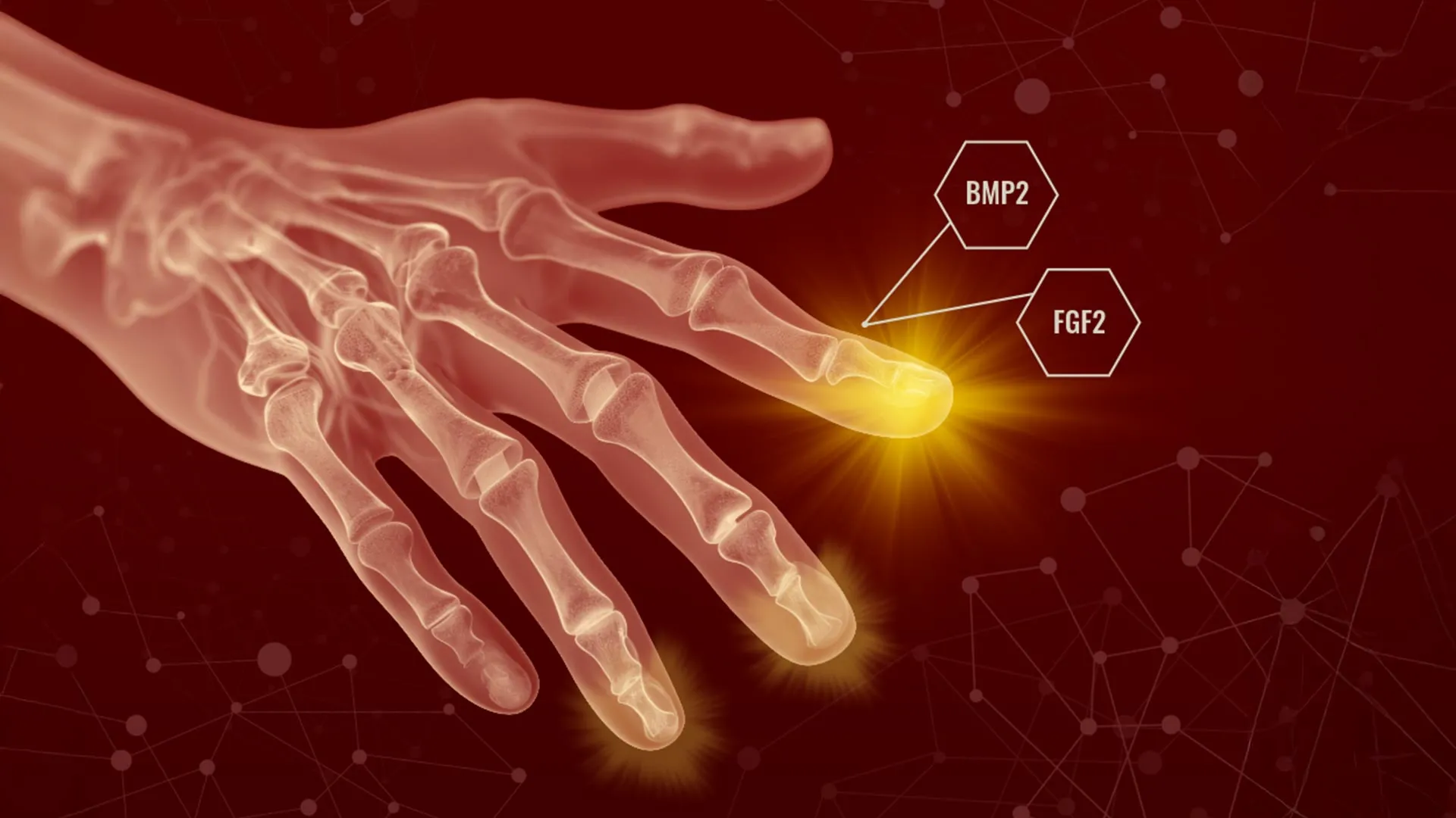 Fuente: Texas A&M University / ScienceDaily