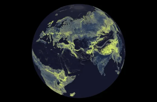 Mapa global de la densidad de hongos micorrízicos arbusculares. Crédito: Truth & Beauty / Moritz Stefaner, Justin Stewart, SPUN.